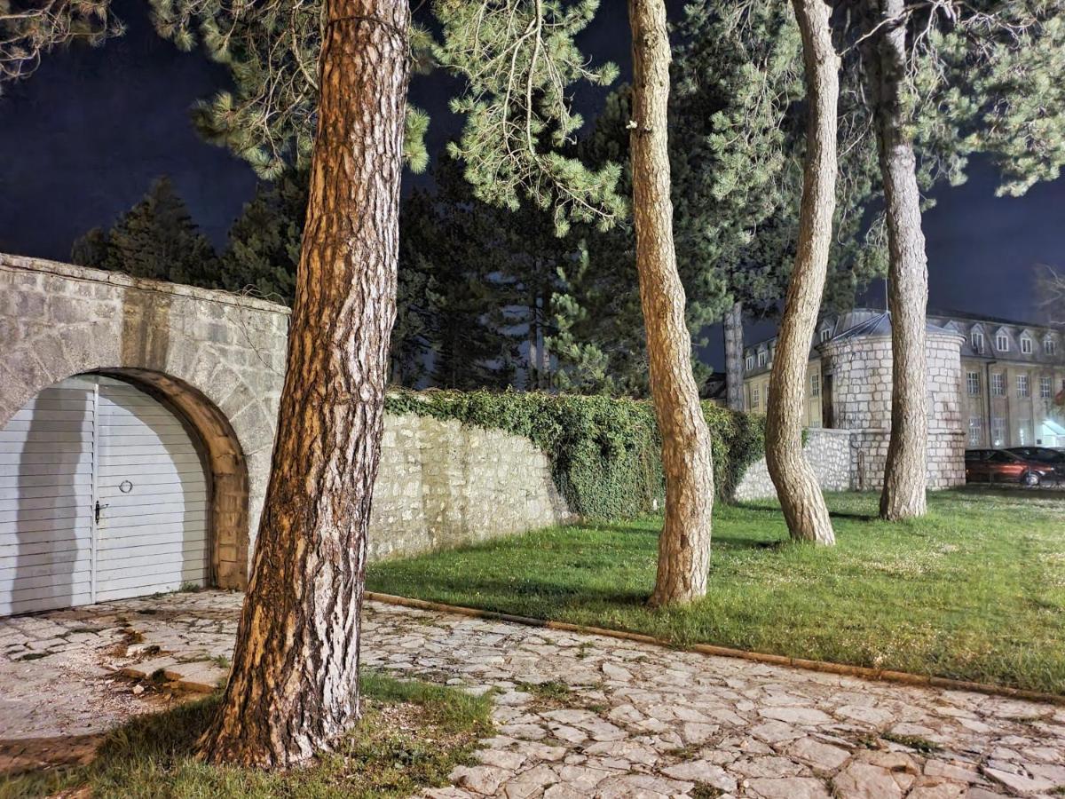 Downtown Apartment Cetinje Buitenkant foto